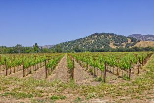 Agriculture,  Saint Helena highway, Napa, CA 94558 - 8