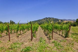 Agriculture,  Saint Helena highway, Napa, CA 94558 - 30