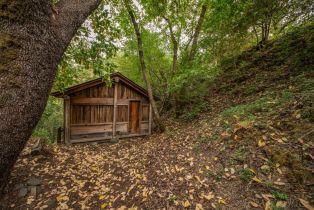Single Family Residence, Mill Creek road, Healdsburg, CA 95448 - 15