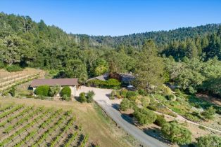 Single Family Residence, Puccioni road, Healdsburg, CA 95448 - 3