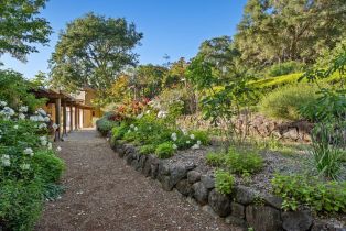 Single Family Residence, Puccioni road, Healdsburg, CA 95448 - 31