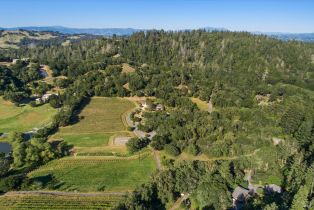 Single Family Residence, Puccioni road, Healdsburg, CA 95448 - 58