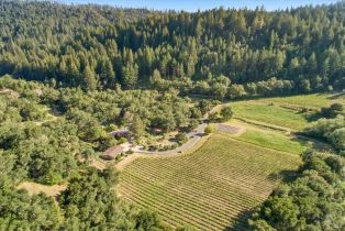 Single Family Residence, Puccioni road, Healdsburg, CA 95448 - 61