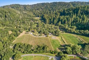 Single Family Residence, Puccioni road, Healdsburg, CA 95448 - 60