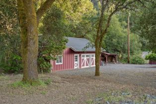 Single Family Residence, Puccioni road, Healdsburg, CA 95448 - 40