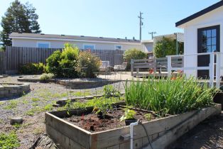 Single Family Residence, 2412 Magnolia avenue, Petaluma, CA 94952 - 52