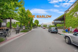 Single Family Residence, Bella Vista drive, Sebastopol, CA 95472 - 49