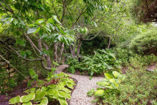 Single Family Residence, Bella Vista drive, Sebastopol, CA 95472 - 45