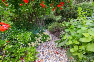 Single Family Residence, Bella Vista drive, Sebastopol, CA 95472 - 43