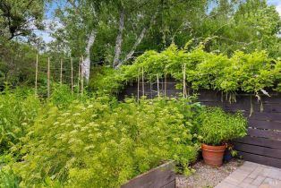 Single Family Residence, Bella Vista drive, Sebastopol, CA 95472 - 44