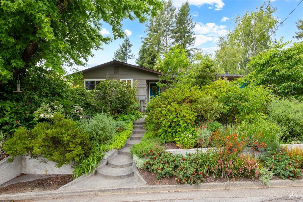 Single Family Residence, Bella Vista drive, Sebastopol, CA 95472 - 1