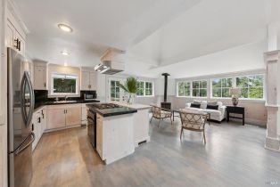 Single Family Residence, Monte Vista terrace, Russian River, CA 95462 - 4