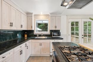 Single Family Residence, Monte Vista terrace, Russian River, CA 95462 - 9
