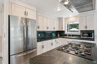 Single Family Residence, Monte Vista terrace, Russian River, CA 95462 - 8
