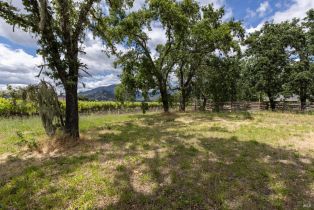 Residential Lot,  Money lane, Calistoga, CA 94515 - 16
