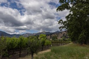 Residential Lot,  Money lane, Calistoga, CA 94515 - 14