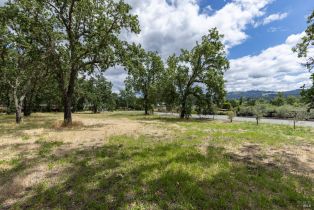 Residential Lot,  Money lane, Calistoga, CA 94515 - 17