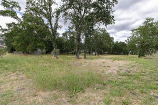 Residential Lot,  Money lane, Calistoga, CA 94515 - 7
