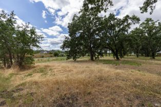 Residential Lot,  Money lane, Calistoga, CA 94515 - 9