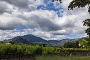 Residential Lot,  Money lane, Calistoga, CA 94515 - 13