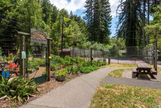Single Family Residence, Rio Nido road, Russian River, CA 95446 - 31