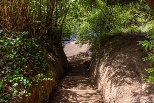 Single Family Residence, Rio Nido road, Russian River, CA 95446 - 24