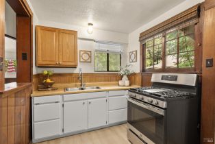 Single Family Residence, Rio Nido road, Russian River, CA 95446 - 13