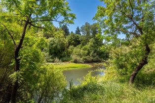 Single Family Residence, Rio Nido road, Russian River, CA 95446 - 22