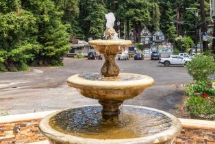 Single Family Residence, Rio Nido road, Russian River, CA 95446 - 28