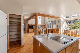 Single Family Residence, Shepherds Close none, Sea Ranch, CA 95497 - 10