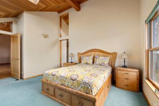 Single Family Residence, Shepherds Close none, Sea Ranch, CA 95497 - 22