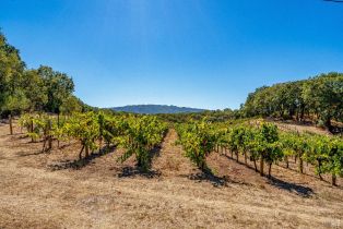 Single Family Residence, Warm Springs road, Glen Ellen, CA 95442 - 63