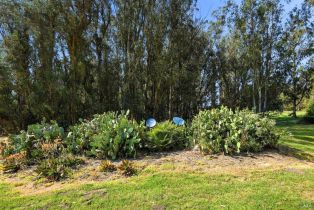 Single Family Residence, Roblar road, Petaluma, CA 94952 - 41