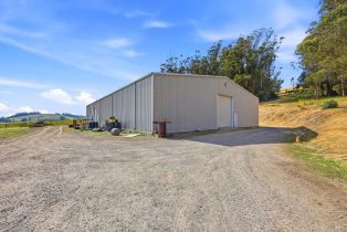 Single Family Residence, Roblar road, Petaluma, CA 94952 - 42