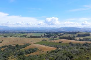 Single Family Residence, Roblar road, Petaluma, CA 94952 - 51