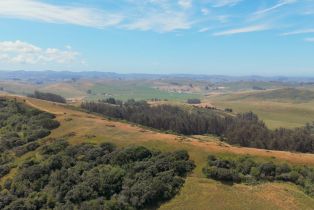Single Family Residence, Roblar road, Petaluma, CA 94952 - 50
