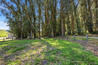 Single Family Residence, Roblar road, Petaluma, CA 94952 - 38