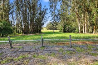 Single Family Residence, Roblar road, Petaluma, CA 94952 - 40