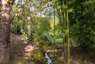 Single Family Residence, Magnolia avenue, Petaluma, CA 94952 - 37