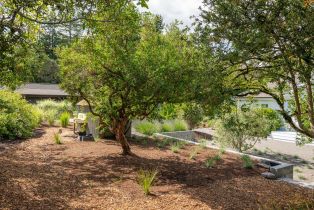 Single Family Residence, Magnolia avenue, Petaluma, CA 94952 - 40