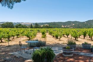 Single Family Residence, Lark avenue, Sonoma, CA 95476 - 37