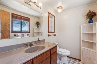 Single Family Residence, Lark avenue, Sonoma, CA 95476 - 30