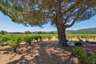 Single Family Residence, Lark avenue, Sonoma, CA 95476 - 26