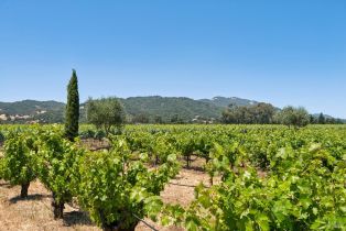 Single Family Residence, Lark avenue, Sonoma, CA 95476 - 38