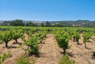 Single Family Residence, Lark avenue, Sonoma, CA 95476 - 9