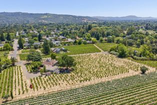 Single Family Residence, Lark avenue, Sonoma, CA 95476 - 45