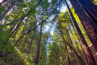 Residential Acreage,  Mill Creek road, Healdsburg, CA 95448 - 10