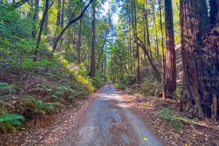 Residential Acreage,  Mill Creek road, Healdsburg, CA 95448 - 4