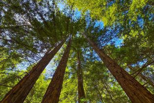 Residential Acreage,  Mill Creek road, Healdsburg, CA 95448 - 6
