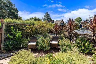Single Family Residence, 329 Plaza street, Healdsburg, CA 95448 - 33